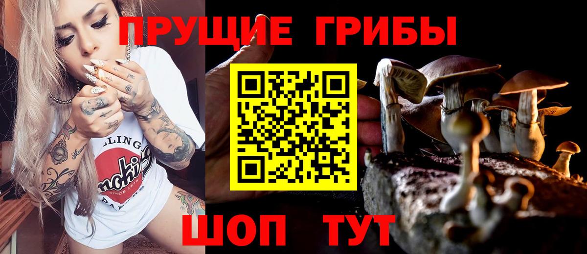 Галлюциногенные грибы GOLDEN TEACHER  Галлюциногенные грибы Psilocybine cubensis  Советская Гавань  Вход с VPN 